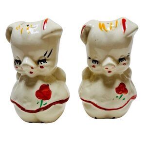 Shawnee Vintage American Bisque Flowered Rose PIG Salt And Pepper Shakers Set